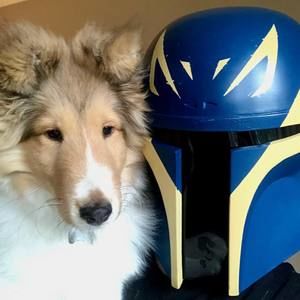 Meet your Posher, Autumn